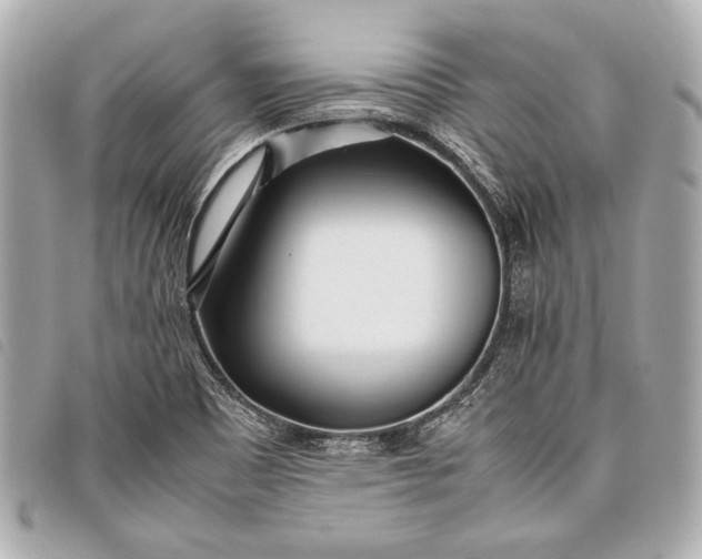 X0000098081465200804181146