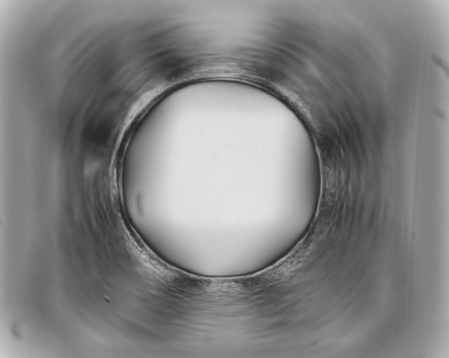 X0000098081466200804181146