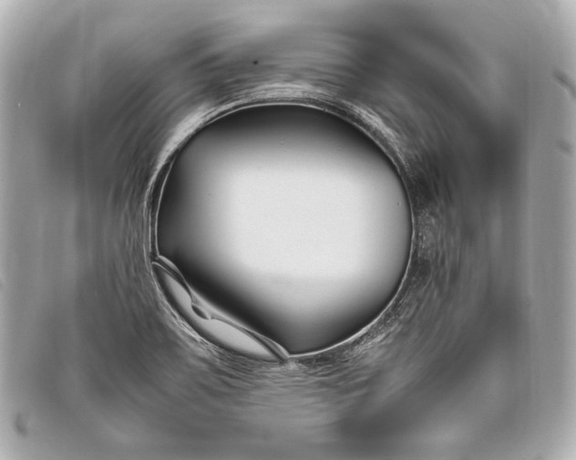 X0000098081467200804181146