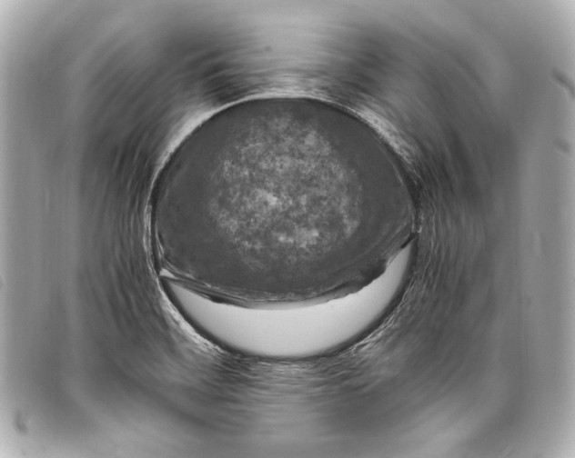 X0000098081468200804181146