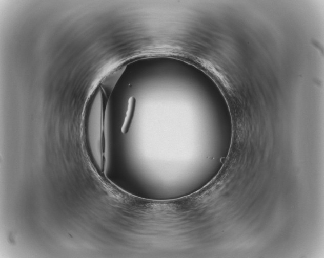 X0000098081469200804181146