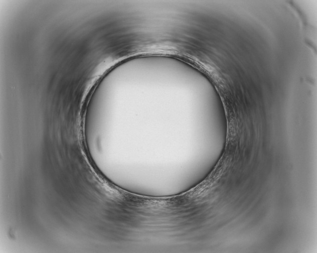 X0000098081470200804181146