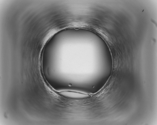 X0000098081471200804181146