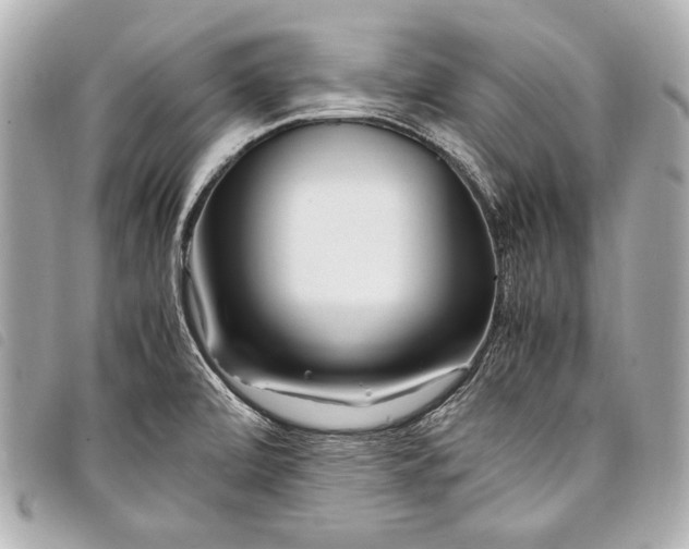 X0000098081472200804181146