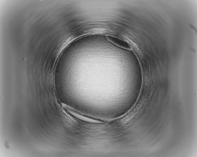 X0000098081473200804181146