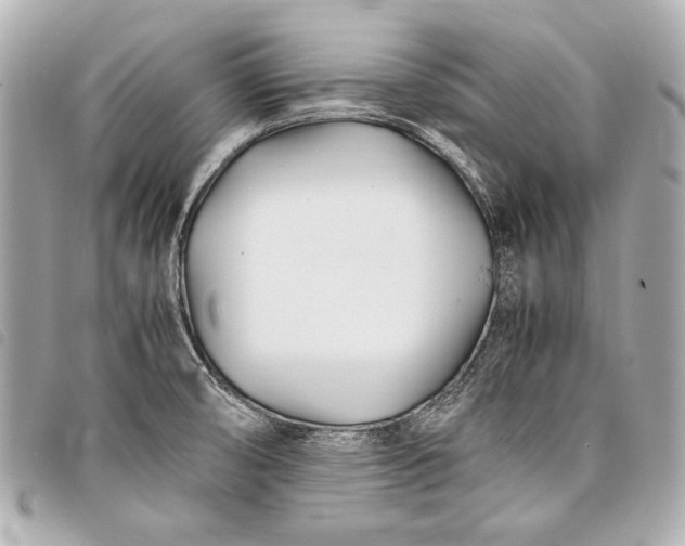 X0000098081474200804181146