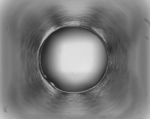 X0000098081475200804181146