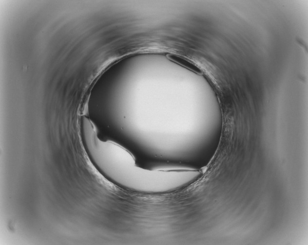 X0000098081476200804181146