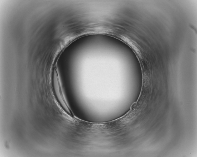 X0000098081477200804181146