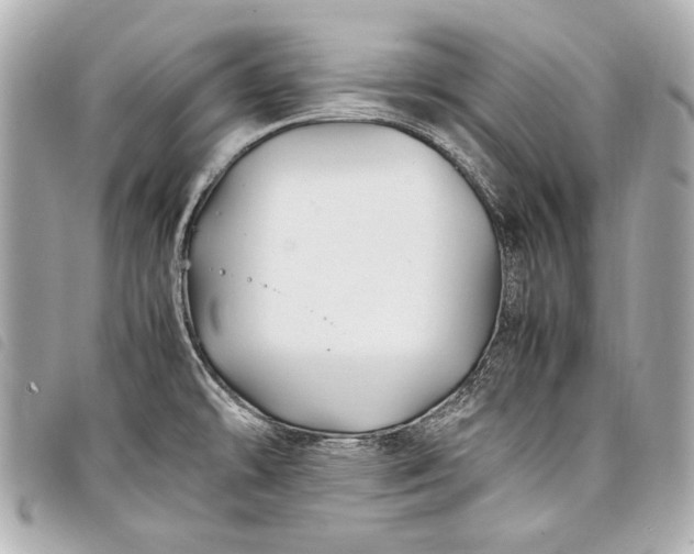 X0000098081478200804181146