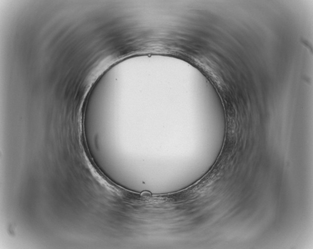 X0000098081479200804181146