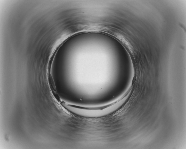 X0000098081480200804181146