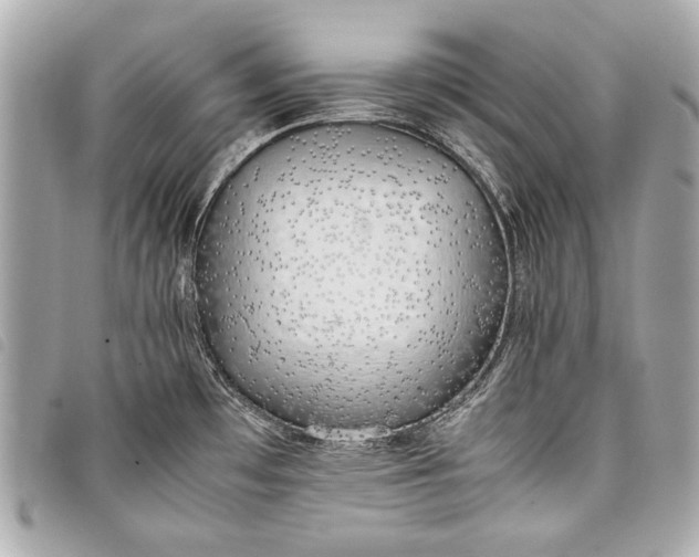 X0000098081481200804181146