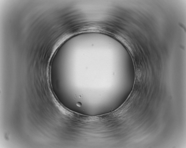 X0000098081482200804181146