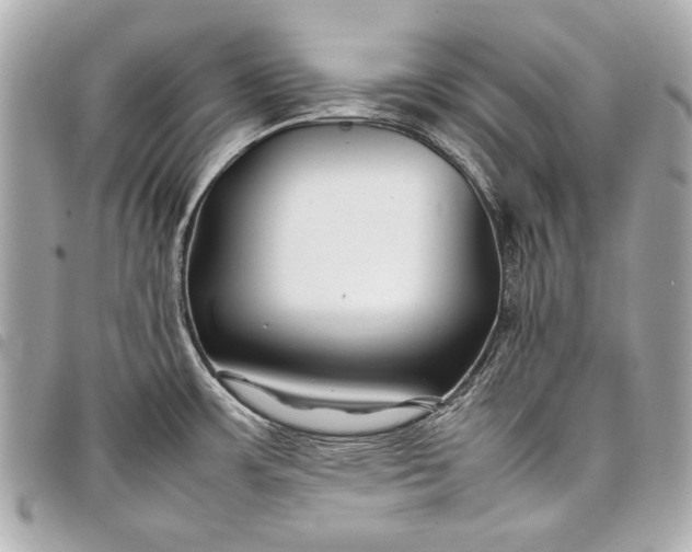 X0000098081483200804181146