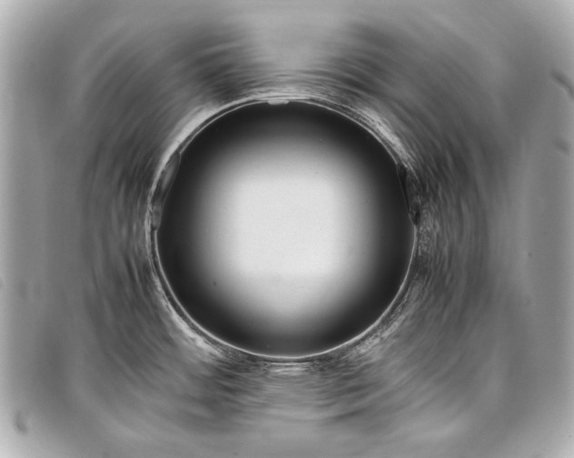 X0000098081484200804181146