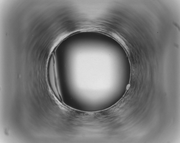 X0000098081485200804181146