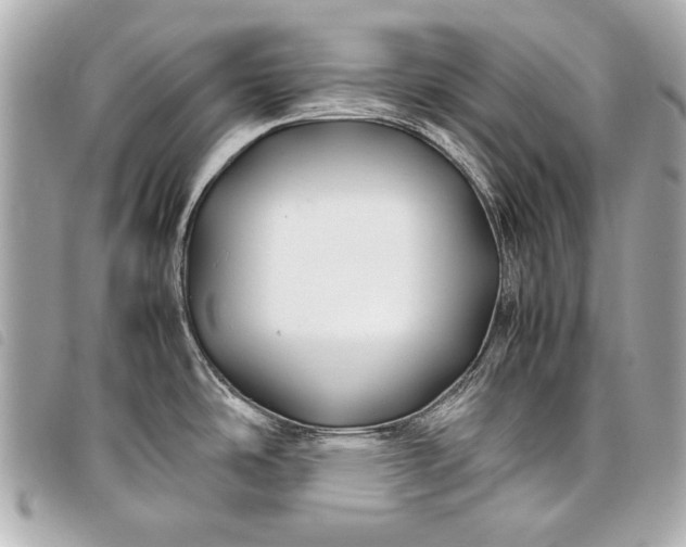 X0000098081486200804181146