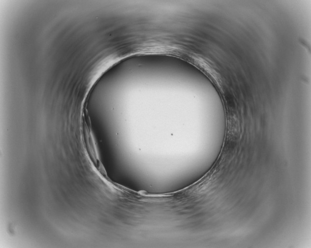 X0000098081487200804181146