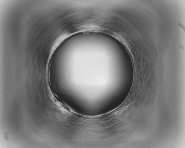 X0000098081488200804181146