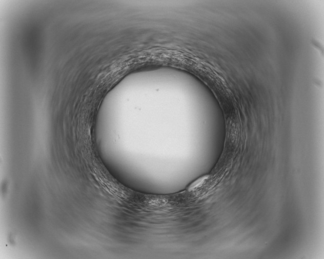 X0000098081489200804181145