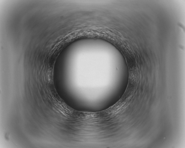 X0000098081490200804181145