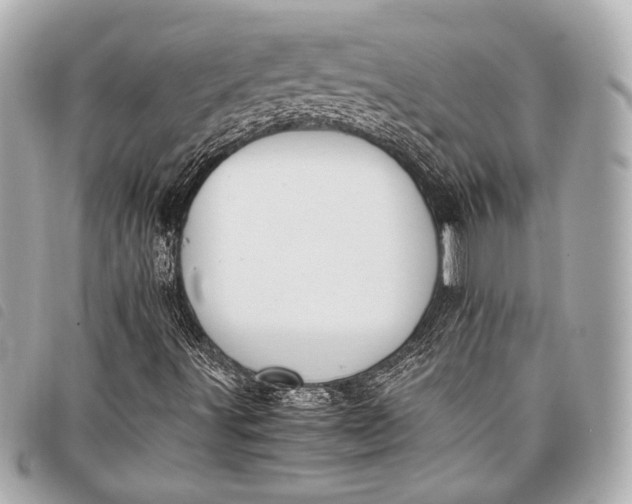 X0000098081491200804181145