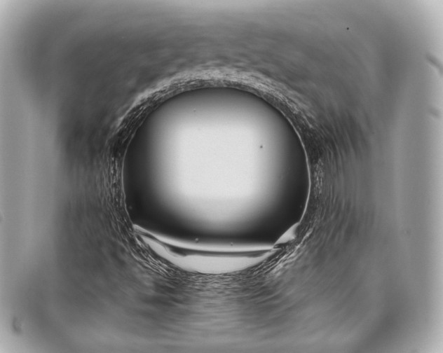 X0000098081494200804181145