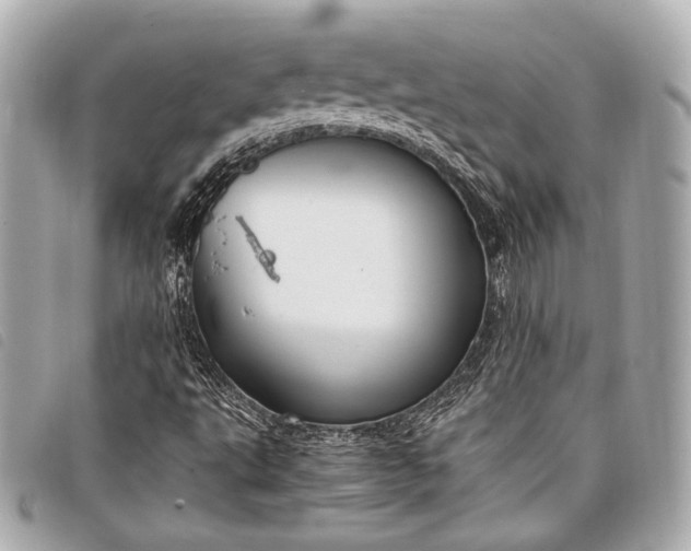 X0000098081495200804181145