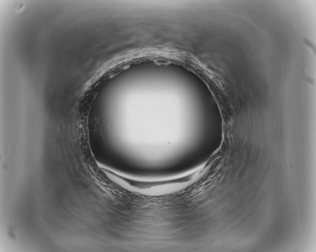 X0000098081496200804181145