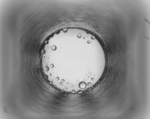 X0000098081498200804181145