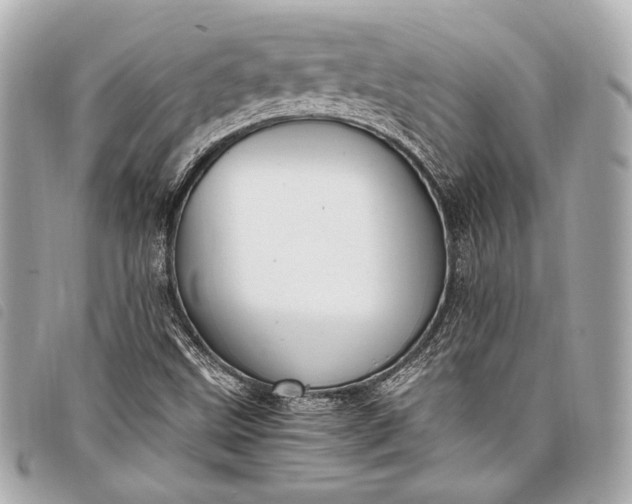 X0000098081499200804181145