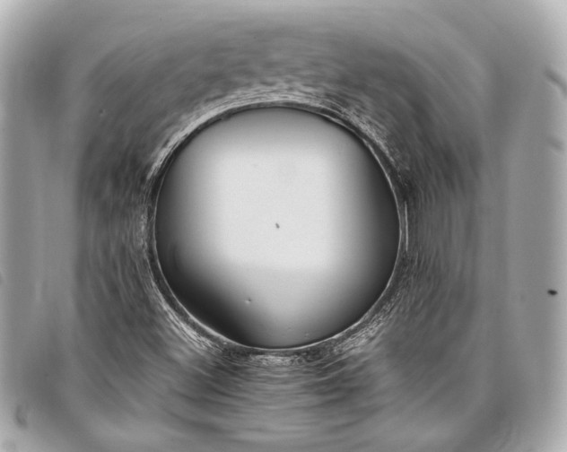 X0000098081500200804181145