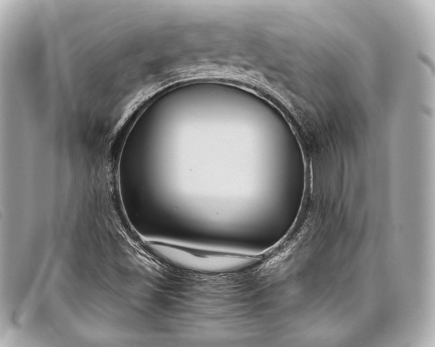 X0000098081501200804181145