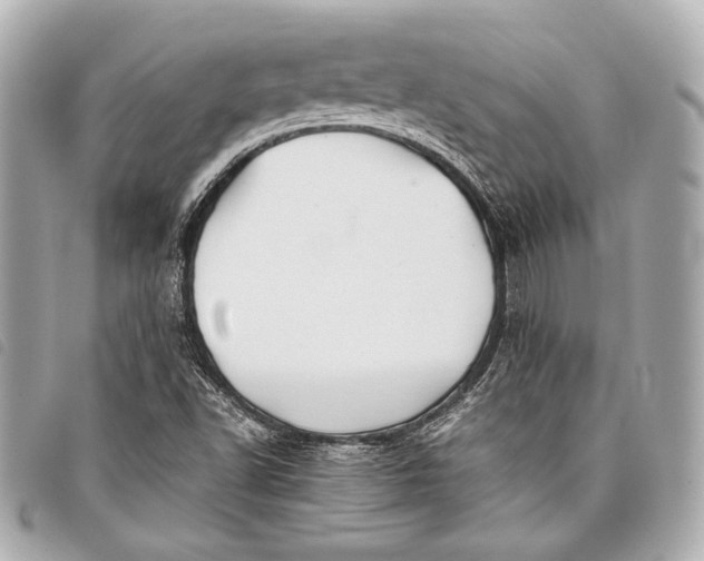 X0000098081502200804181145