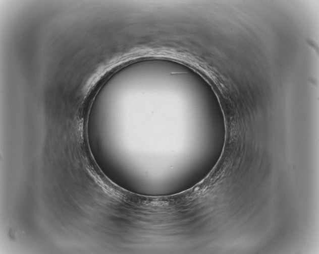 X0000098081503200804181145