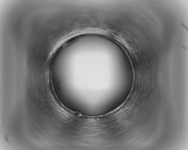 X0000098081504200804181145