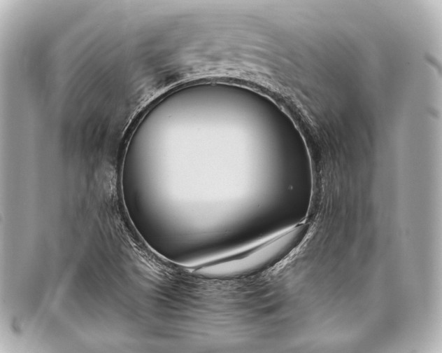 X0000098081505200804181145