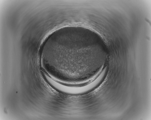 X0000098081506200804181145