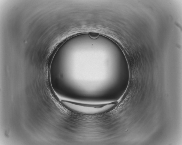 X0000098081507200804181145