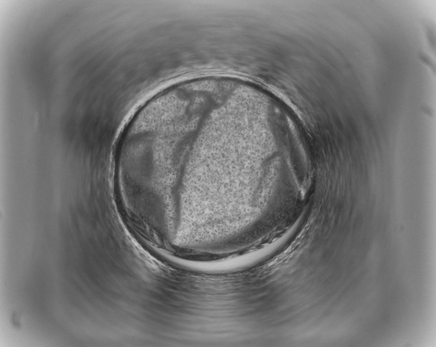 X0000098081508200804181145