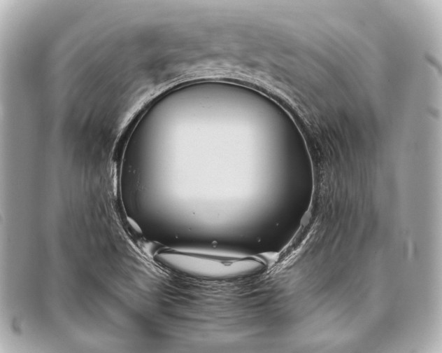 X0000098081509200804181145