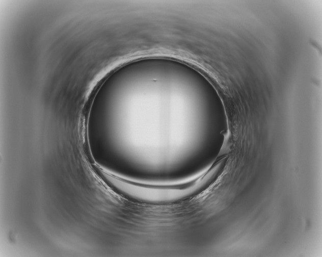 X0000098081510200804181145