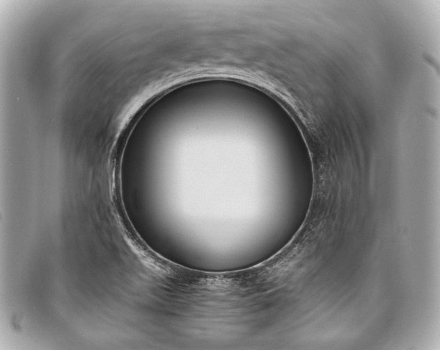 X0000098081511200804181145