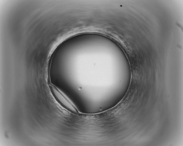 X0000098081512200804181145