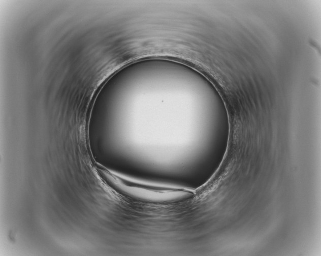 X0000098081513200804181145