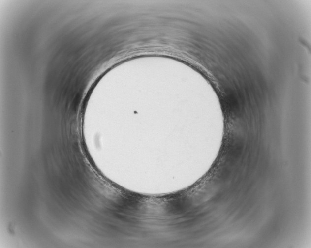 X0000098081514200804181145