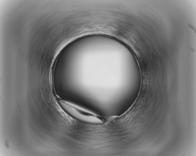 X0000098081516200804181145