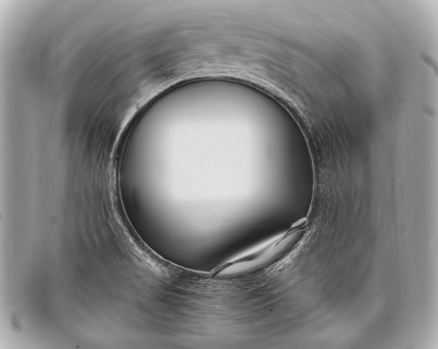 X0000098081517200804181145