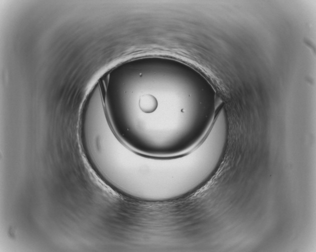 X0000098081518200804181145